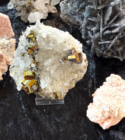 Minéral Vaud 2026 - Morges